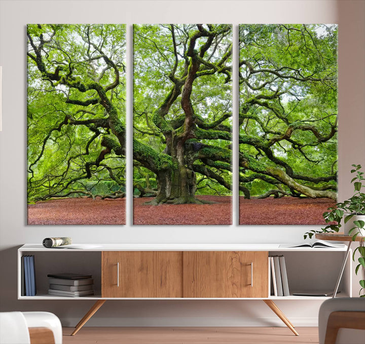 Framed Angel Oak Tree Wall Art - 3-Panel Canvas Prints, Large Green Nature Artwork, Ready to Hang Home Decor for Living Room, Office, Bedroom