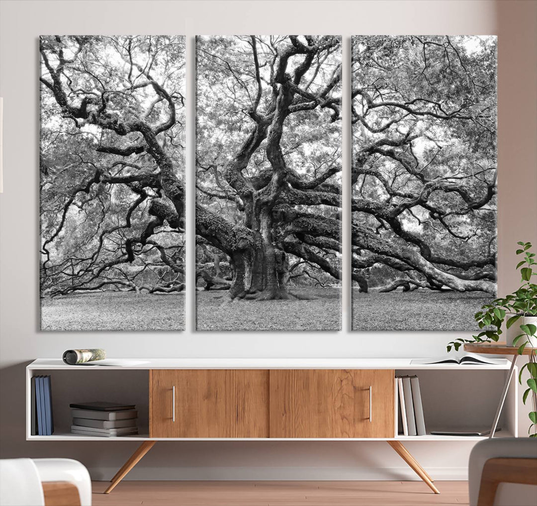 Black White Angel Oak Tree Wall Art - Timeless Nature-Inspired Canvas for Rustic, Modern, or Traditional Home Decor