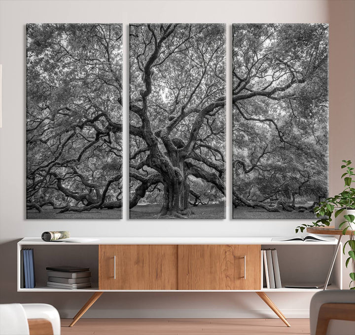 Majestic Angel Oak Tree Black and White Canvas Print – Multi Panel Wall Art, Giclée Print, Ready to Hang Nature Photography for Home Decor