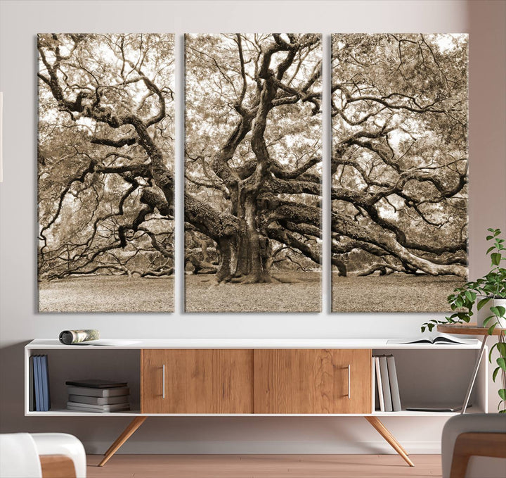 Displayed on the wall is a Sepia-framed Angel Oak Tree 3-panel canvas.