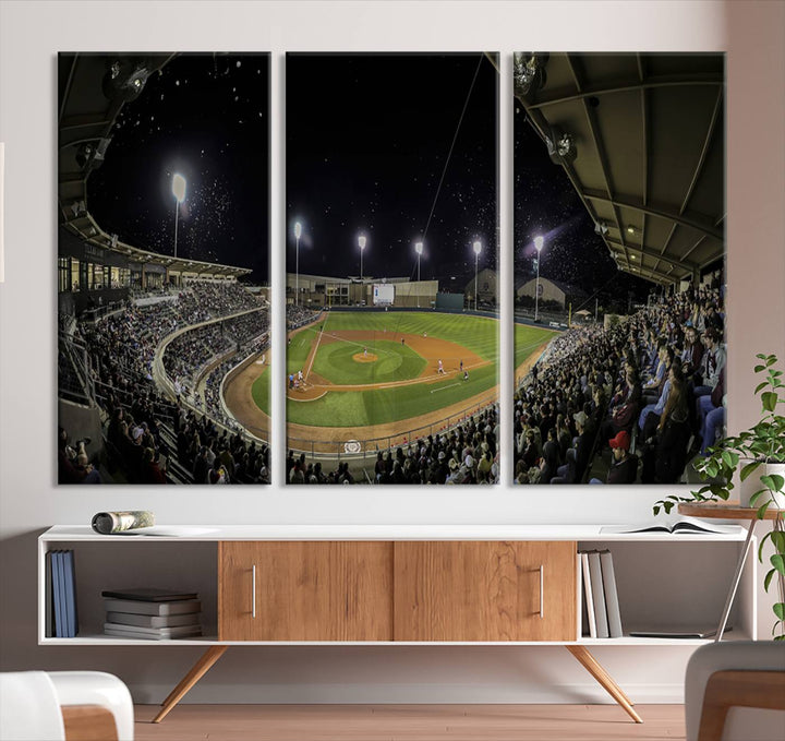 Olsen Field at Blue Bell Park - Texas A&M Aggies Baseball Stadium Wall Art Canvas Print