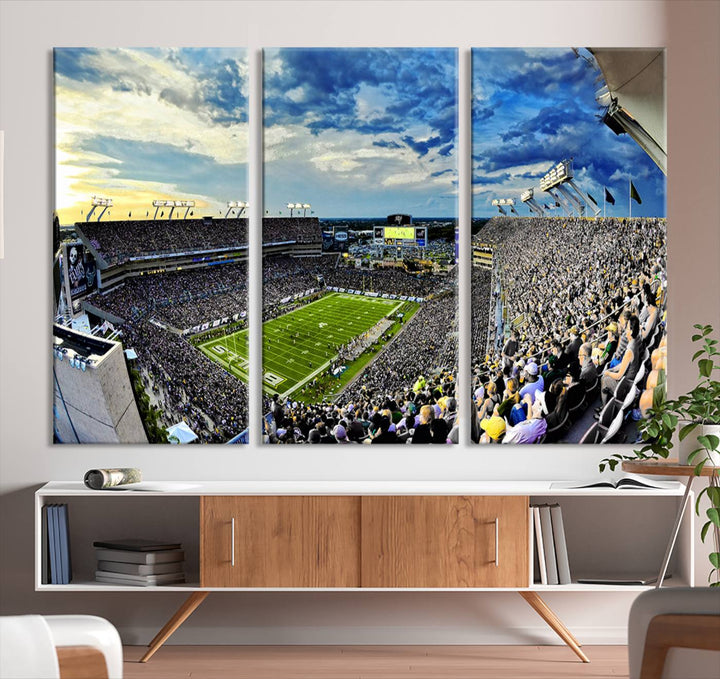 USF Bulls Football Team Print - Tampa Raymond James Stadium Wall Art Canvas Print