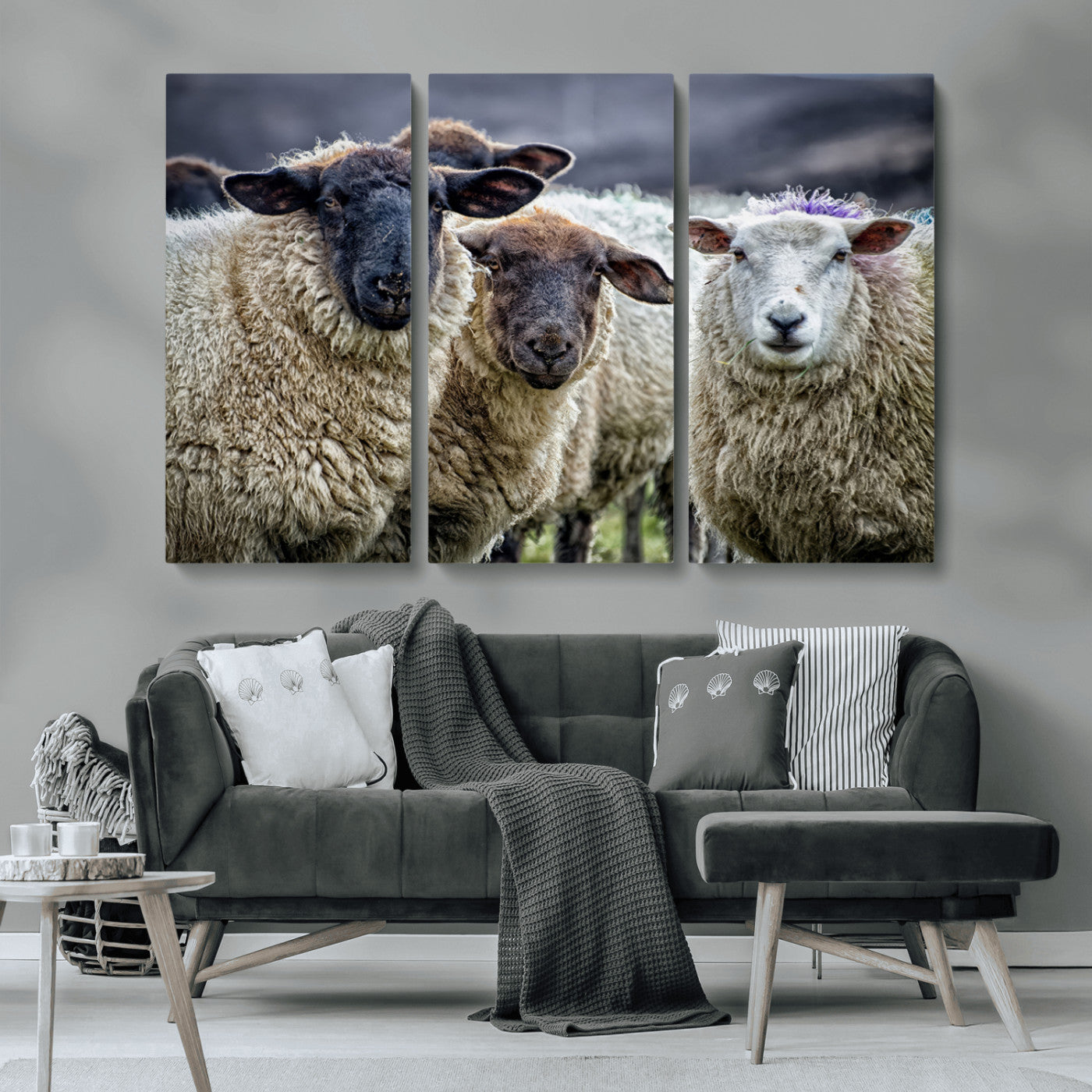 -Charming Sheep Portrait Wall Art – Trio of Woolly Companions Canvas Print, Framed, Ready to Hang