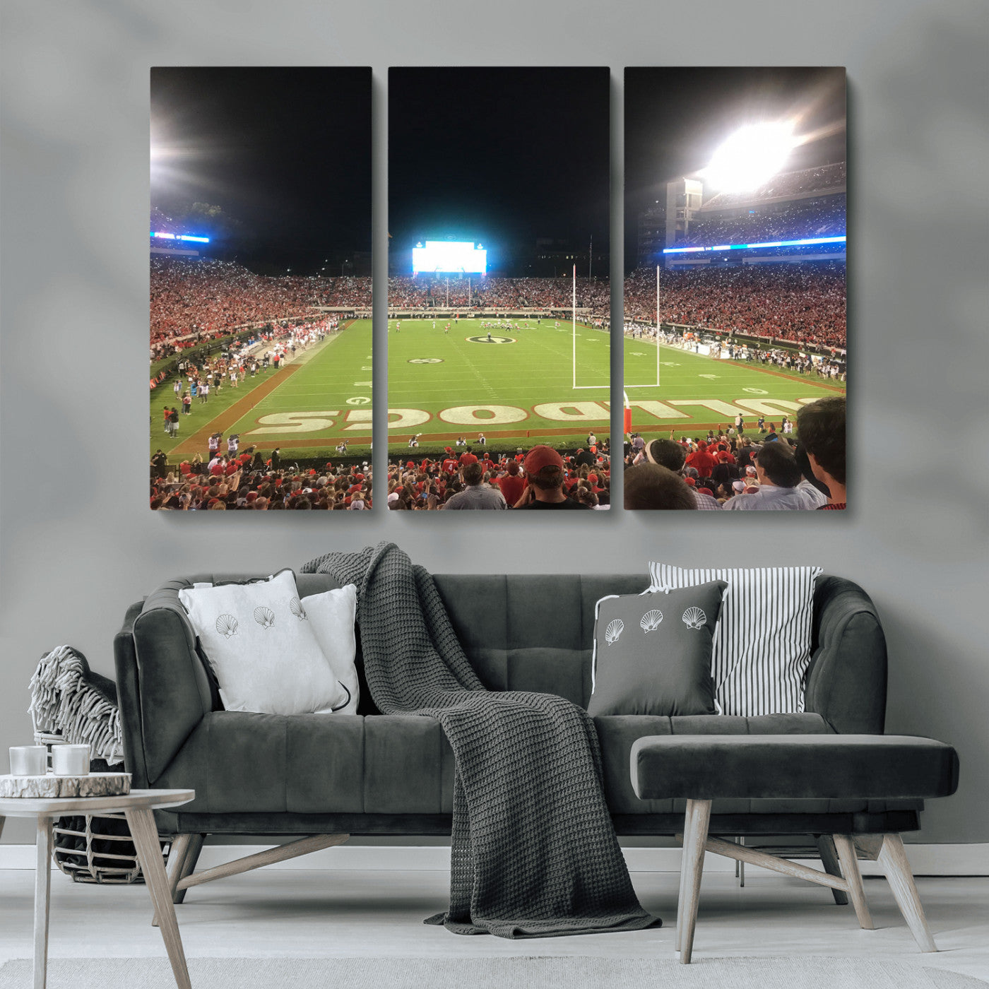 Dooley Stadium Wall Art Print, Sports Arena Canvas Wall Art, Panoramic Stadium Canvas Print, Modern Athletic Field Art Printing