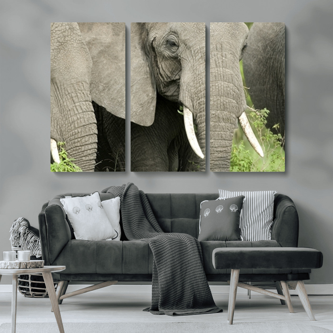 MGV-CV-48X32-3P - Wild Elephant Wall Art Canvas Print