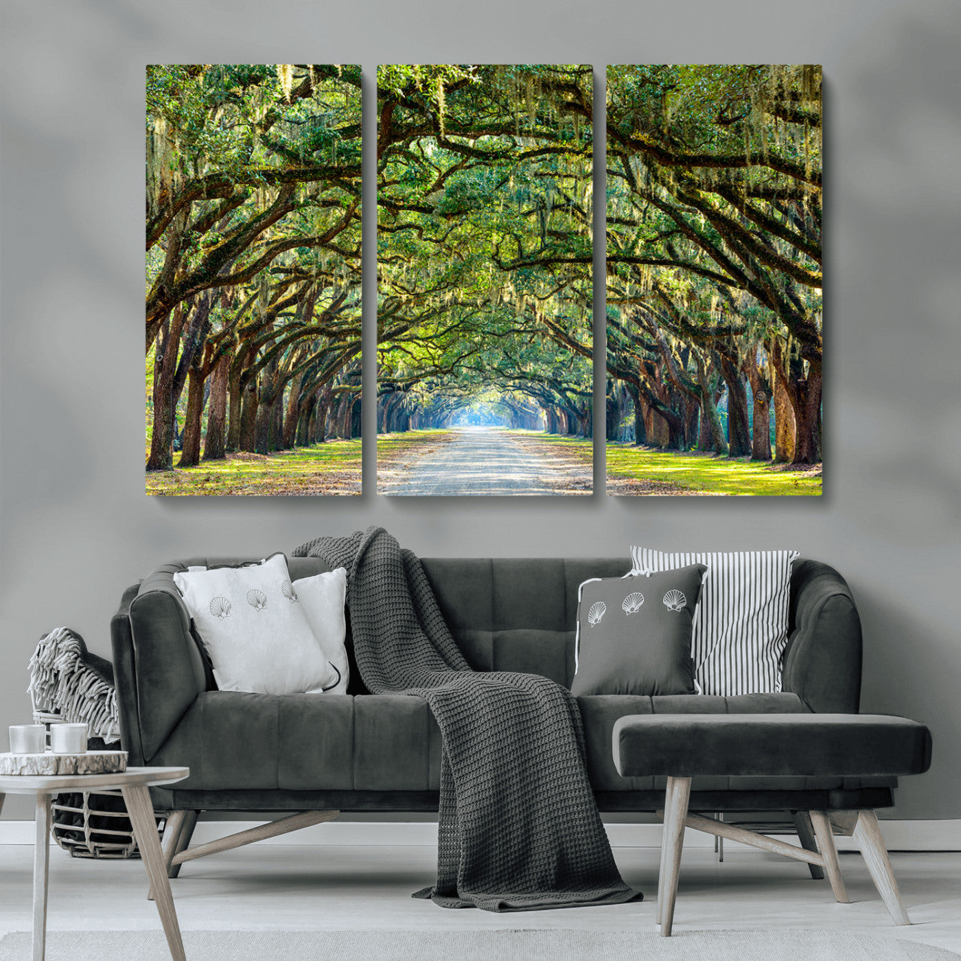 MGV-CV-48X32-3P - Wormsloe State Plantation Driveway Wall Art Canvas Print