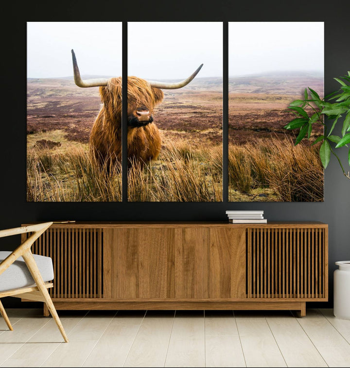 A ready-to-hang Scottish Highland Cow Cattle Canvas Wall Art.