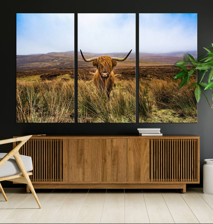 A Scottish Highland Cow art print canvas with UV-protection adorns the wall, preserving vivid details.