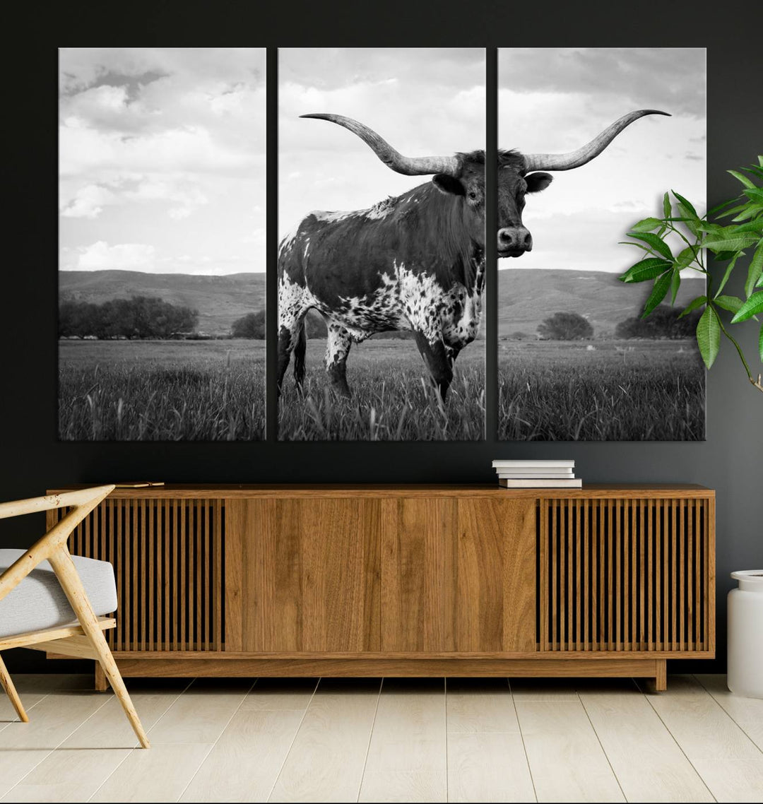 A Black and White Longhorn Texas Cow Canvas Wall Art.