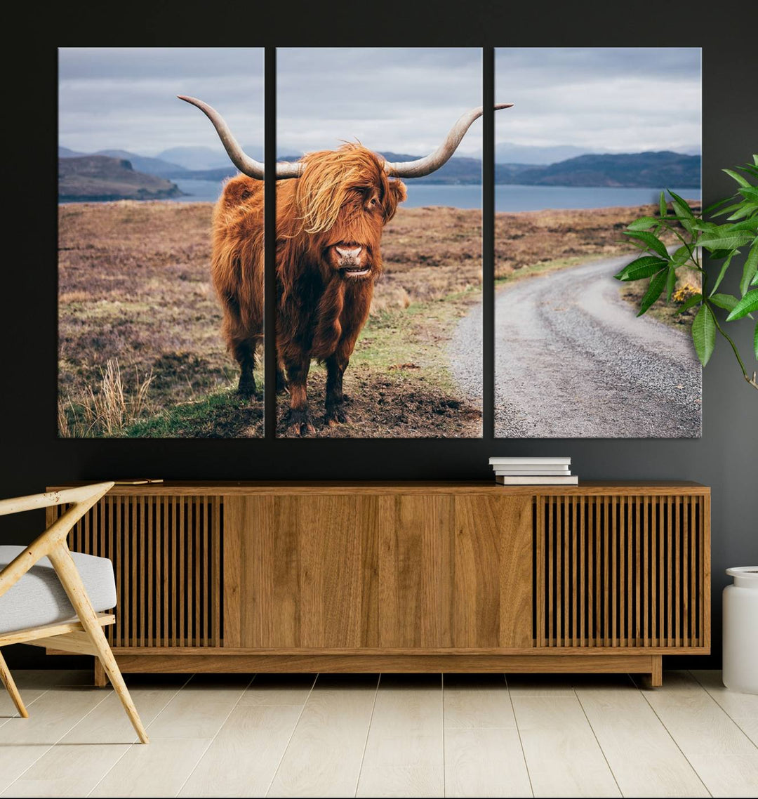 The Longhorn Highland Cow Canvas Wall Art is prominently displayed.