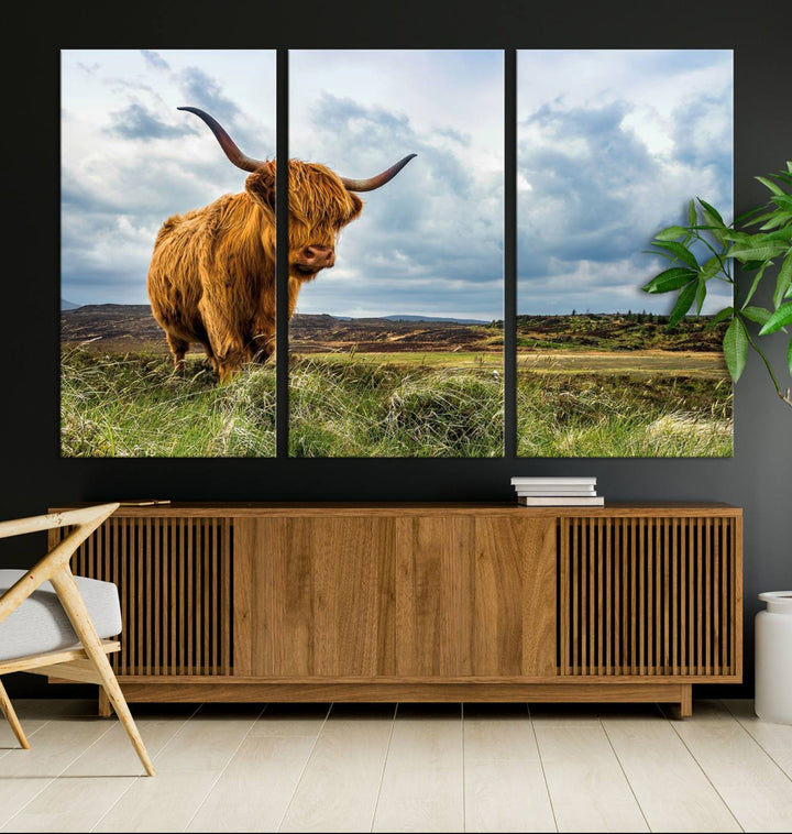 Highland Cattle Canvas Print: A minimalistic touch for any setting.