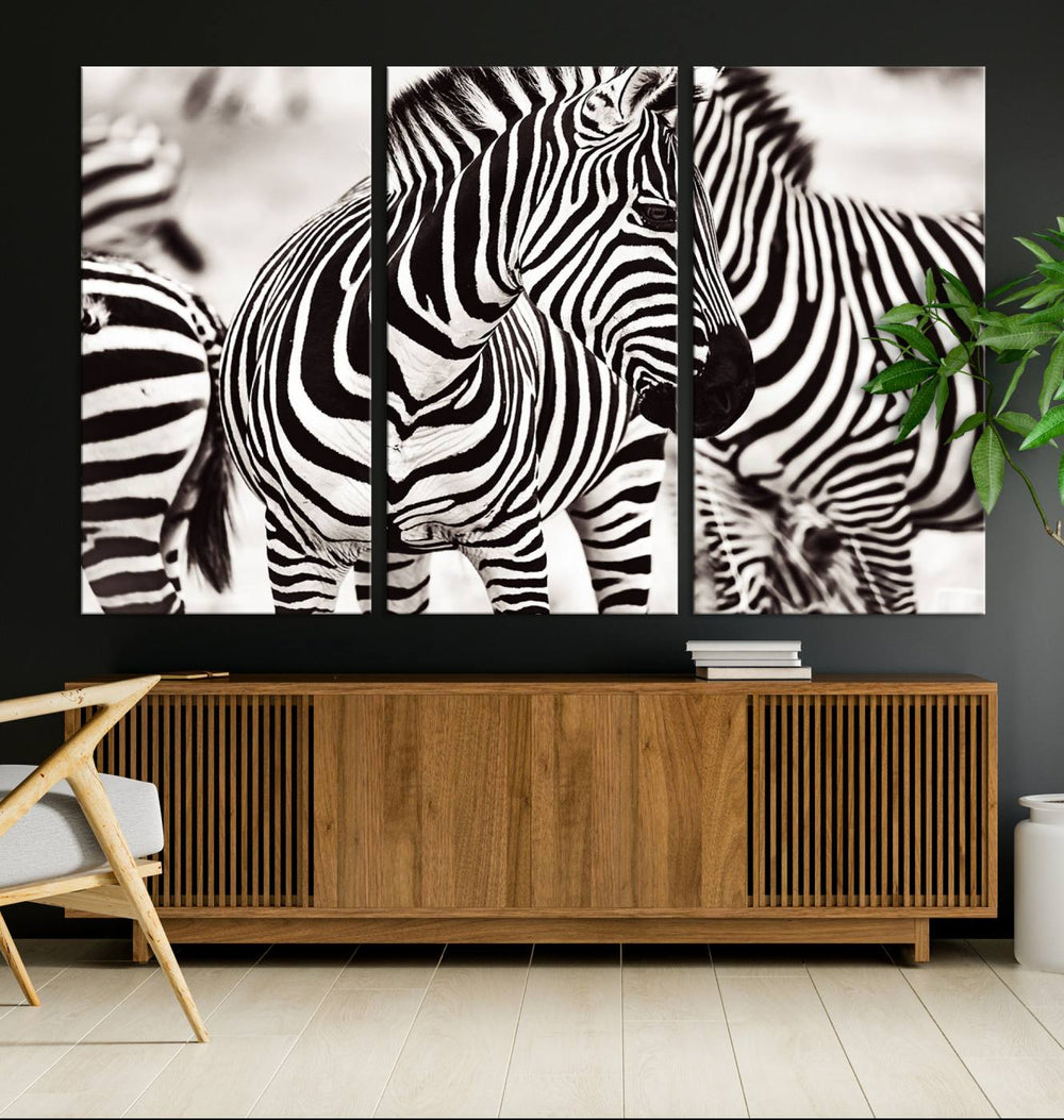 The Brilliant Zebra Photography Art Canvas Print hangs prominently on the wall.