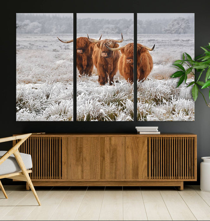 The Highland Cows in Snow canvas showcases three cattle in a frosty field.