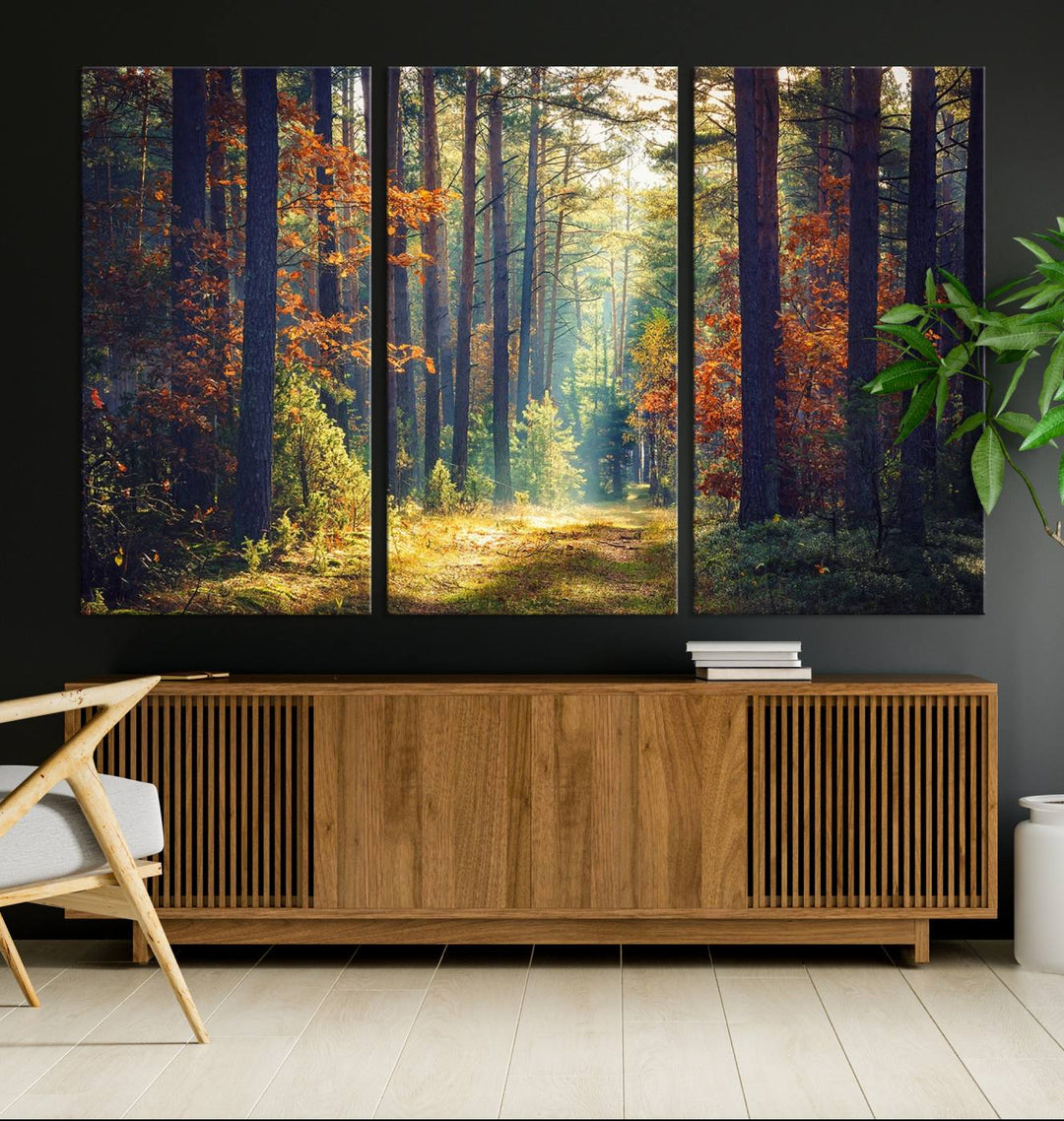 The Dark Forest canvas wall art showcases a captivating forest landscape.