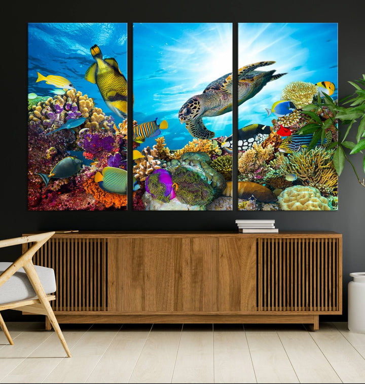 Aquatic Life Sea Turtles Fish Wall Art on canvas, perfect for adding a touch of marine beauty to your space.