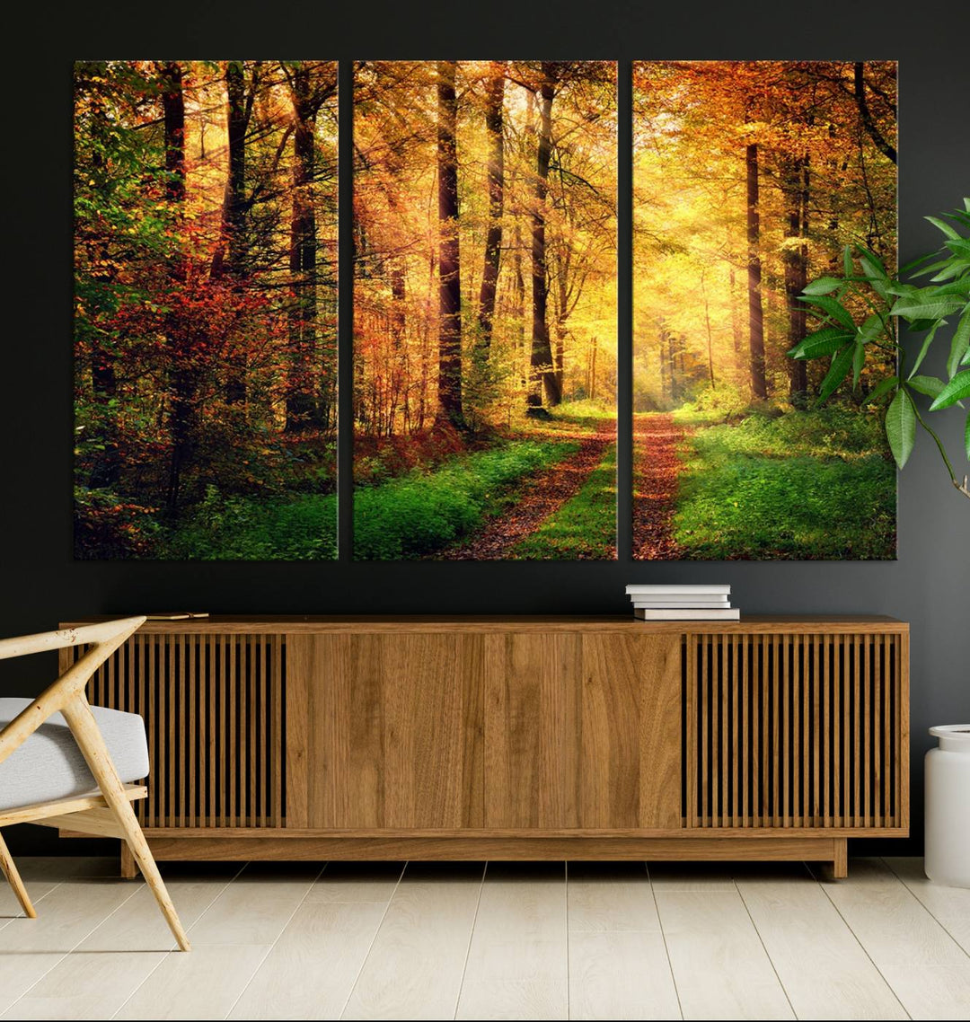 The Sunlight Through Trees Wall Art Canvas Print showcases a sunlit autumn forest and includes UV protection to ensure lasting vibrance.