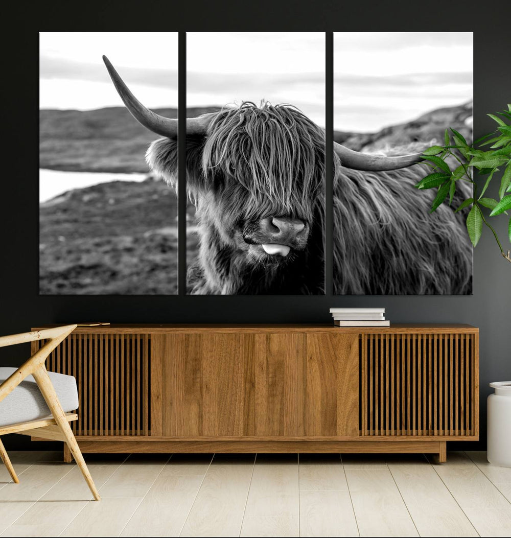 Highland Cow Canvas – Black & White, Framed, Ready to Hang Rustic Farmhouse Wall Art.