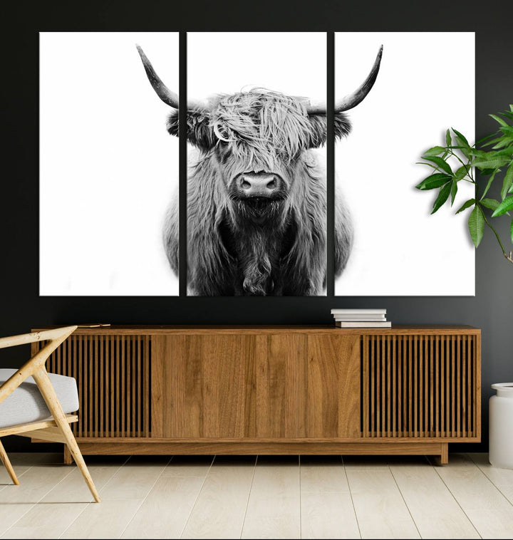 Highland Cow Canvas hanging prominently.