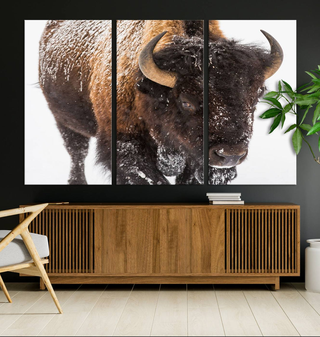 Bison Wall Art Canvas.