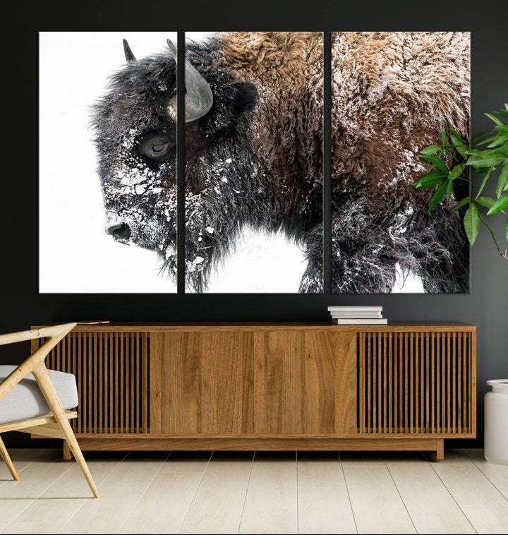 The American Bison Wall Art Print is prominently displayed on the wall.