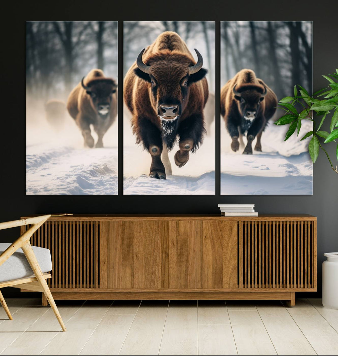 Wall art titled Cow Bighorn shows three bison running through snow in a forest.