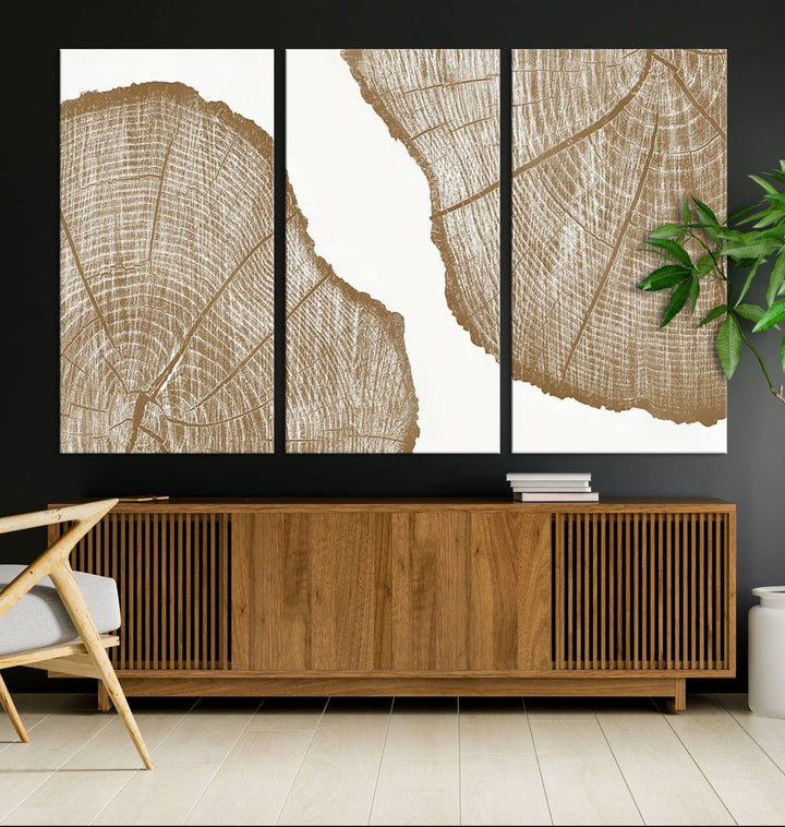 The rustic wall art features two large tree rings, beautifully framed and displayed to create a nature-inspired décor.