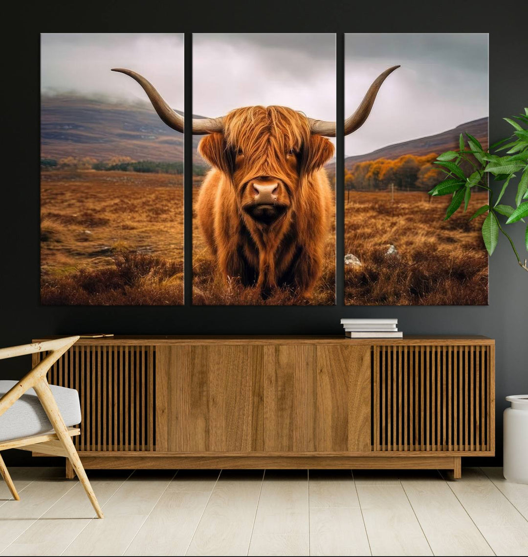 Highland Cow Longhorn Canvas Print, framed, on a wooden wall.