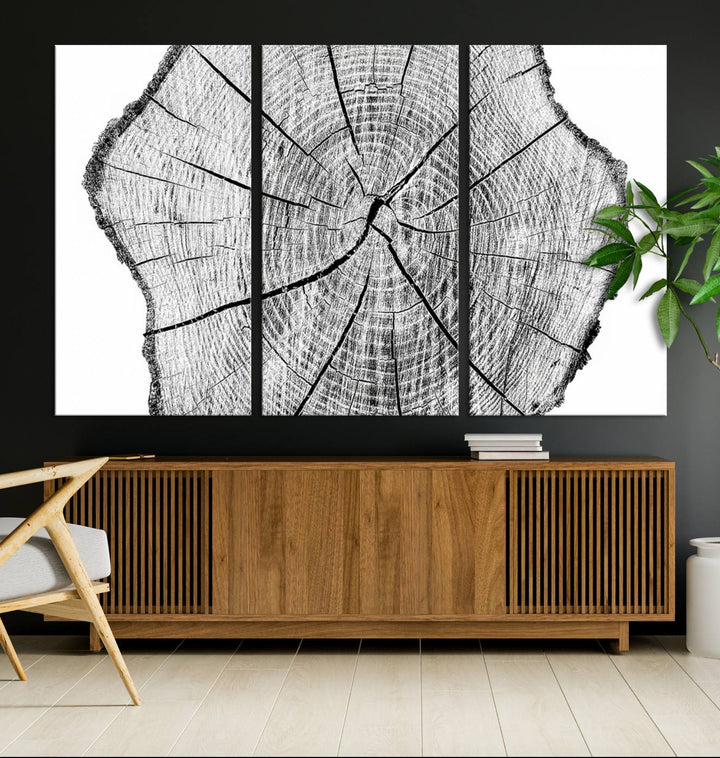 Black and white tree ring art print.