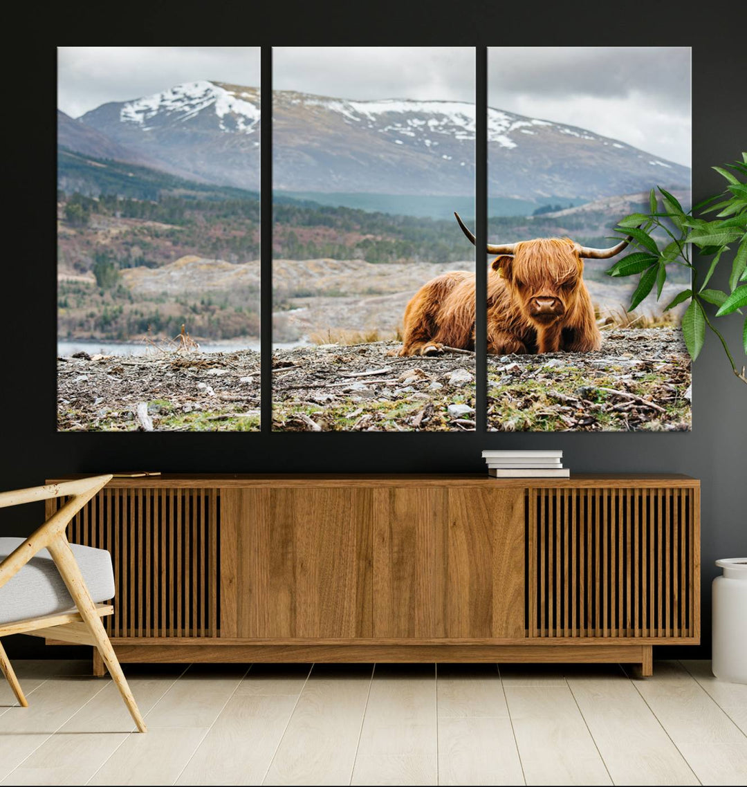 Highland Cow Horn Farm Wall Art Canvas Print is displayed against a wooden wall featuring a mountainous backdrop.