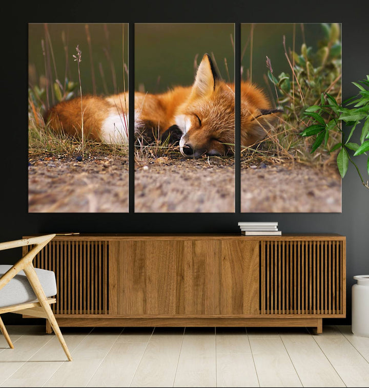 The Sleeping Fox Wall Art Canvas Print is ideal for farmhouse decor.