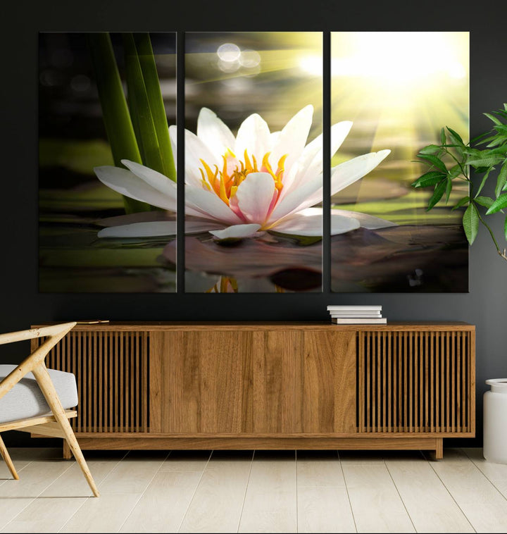 The Lotus Flower Wall Art Canvas Print showcases a white water lily with a yellow center floating gracefully in sunlight.