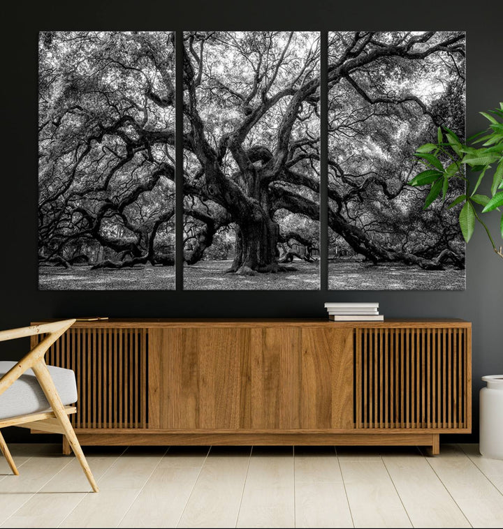 The Black and White Old Angel Oak Tree Canvas Print enhances the modern dining room.