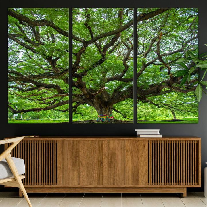 Framed Angel Oak Tree print featuring sprawling branches and ribbons against a clear sky backdrop, ideal for home or office decor.