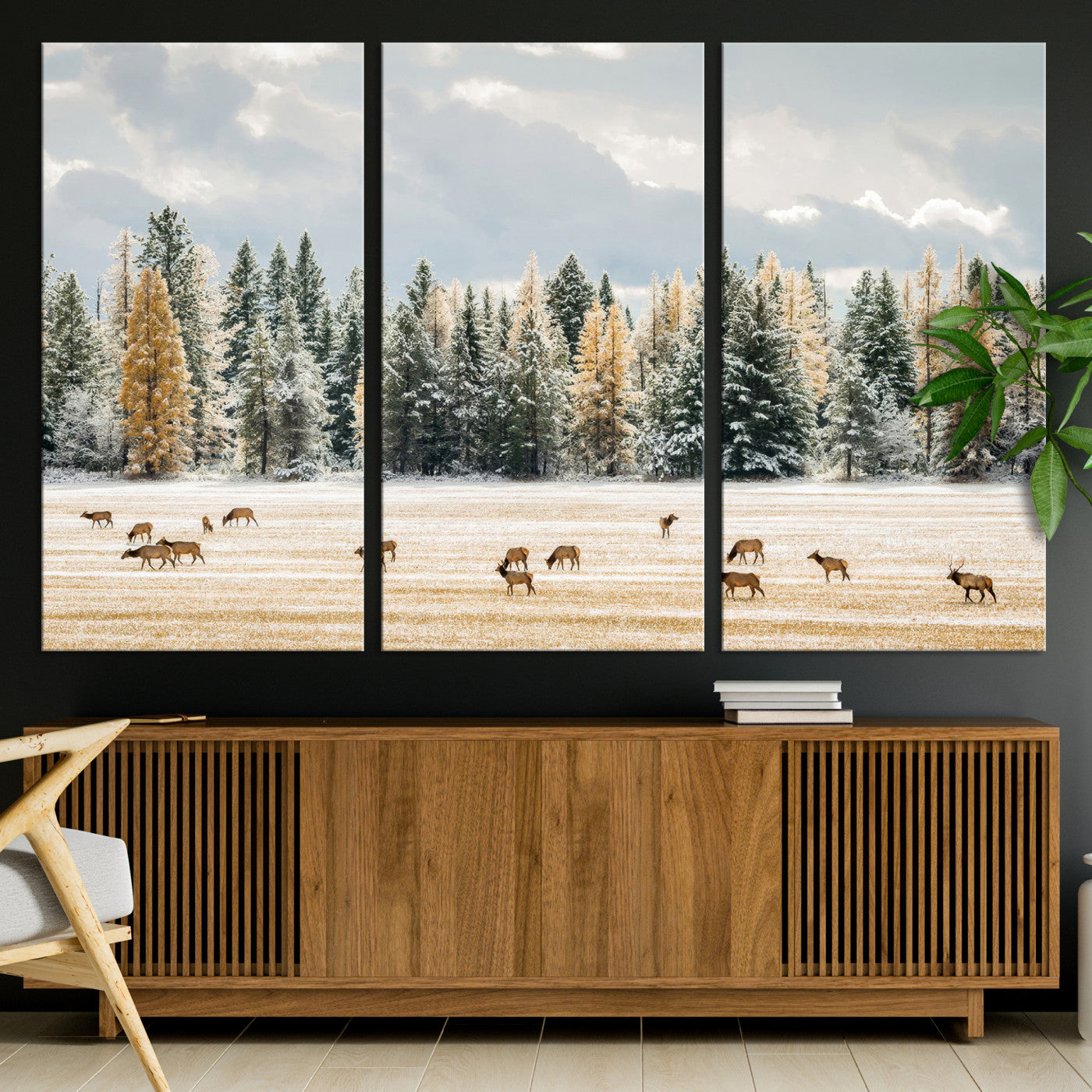 Elk herd in a snowy field with golden pine trees and frosted evergreens, ideal for neutral rustic or cabin-style home decor.
