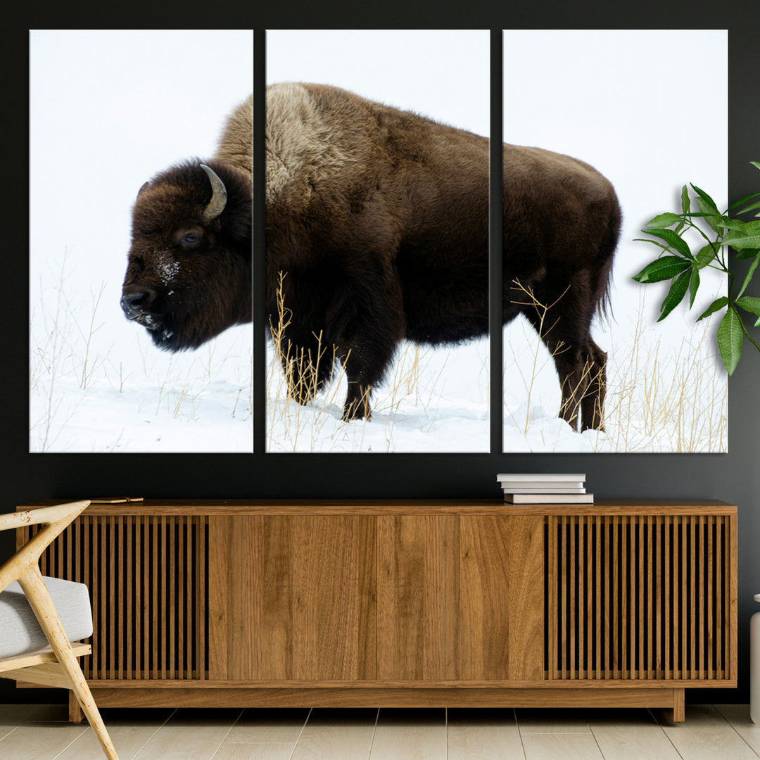 Bison Photography Wall Art Canvas Print, Framed Western Wildlife Art Picture Print, Buffalo On Snow Perfect Western Decor Artwork
