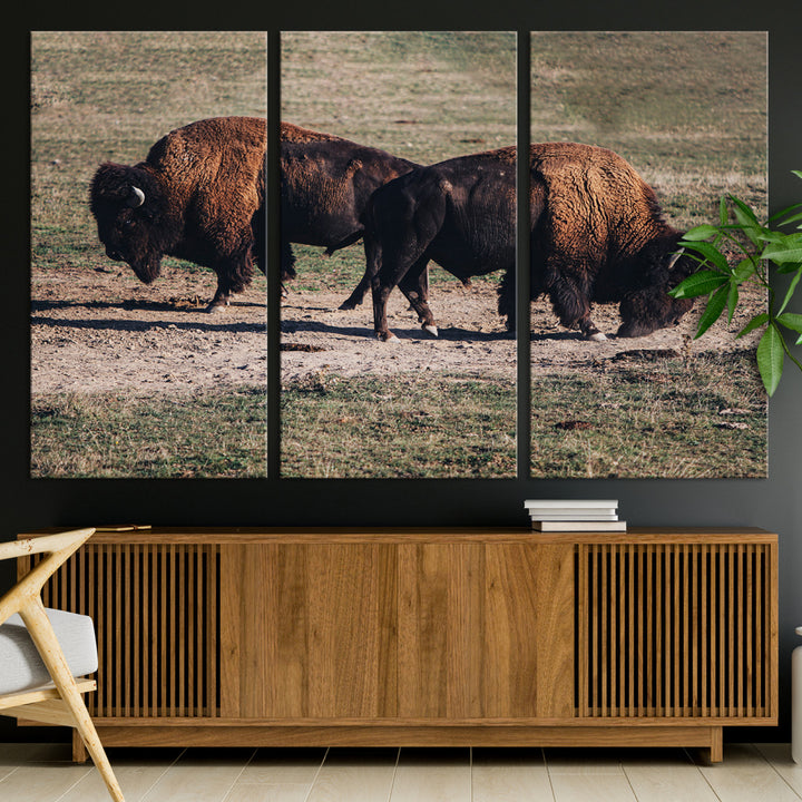 Bison Photography Wall Art Canvas Print, Framed Western Wildlife Art Picture Print, Modern Ranch Perfect Western Rustic Decor Artwork