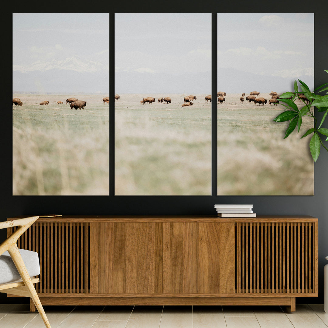 Bison Herd Wall Art Canvas Print, Framed Western Art Picture Print, Bison Perfect Ranch Decor Artwork