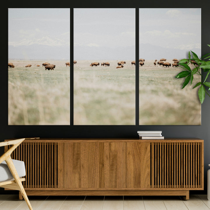 Bison Herd Wall Art Canvas Print, Framed Western Art Picture Print, Bison Perfect Ranch Decor Artwork