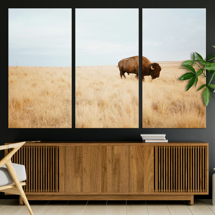A lone bison standing in a vast golden grassland under a soft blue sky, evoking a rustic and Western aesthetic, ideal for farmhouse decor.