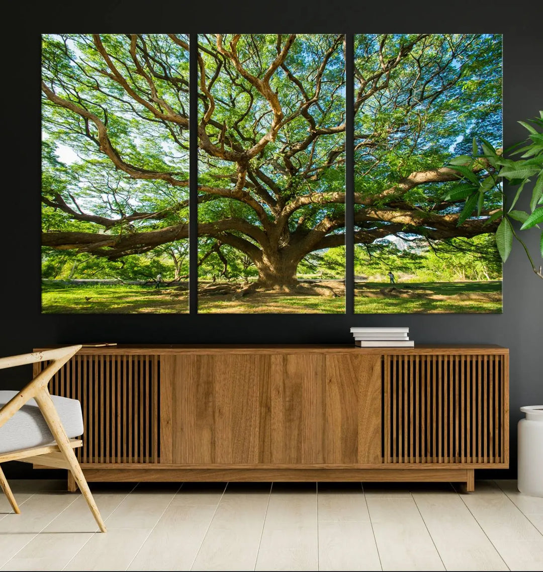 The Angel Oak Tree Wall Art, a multi-panel canvas print showcasing a large tree with sprawling branches and green leaves in a style reminiscent of the majestic Angel Oak Tree, elegantly adorns the wooden wall in the living room.