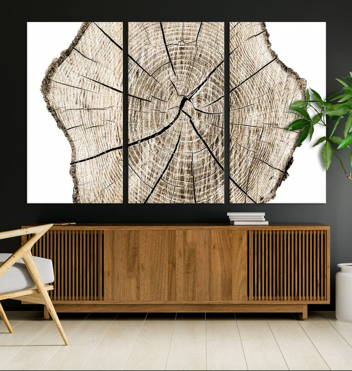 The Abstract Wood Tree Ring Wall Art set of 3 adds a minimalist touch to the space.