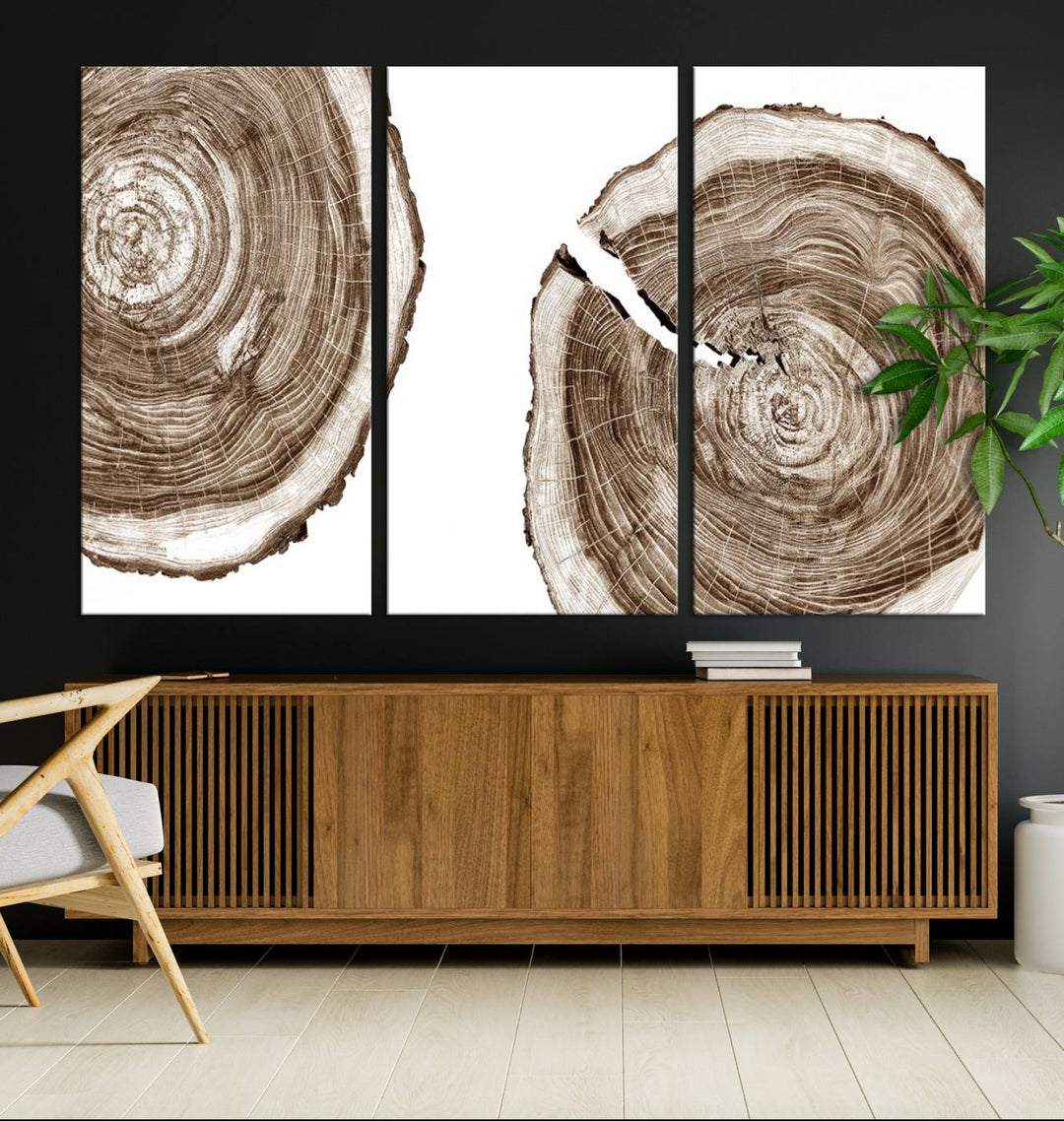 Wood Tree Ring Wall Art on a minimalist black and white canvas.