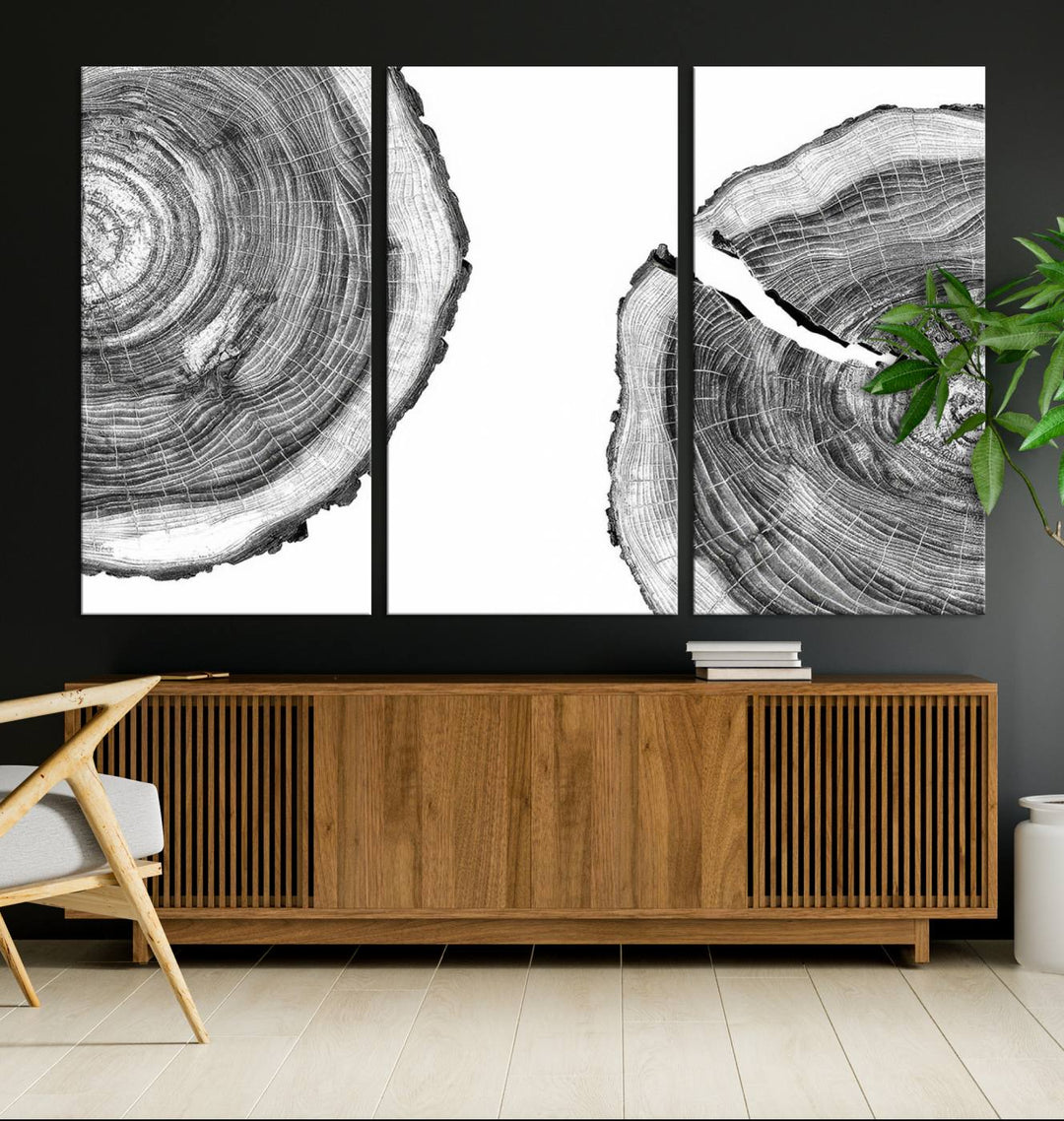 The minimalist art piece Abstract Large Tree Rings on canvas creates a striking focal point.