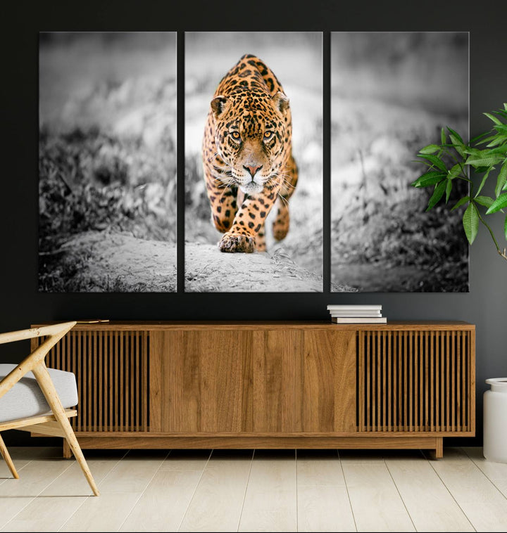 A striking three-panel "Jaguar Stalking Wall Art Canvas Print - Majestic Big Cat in Focused Pursuit" features a leopard walking forward, set against a black and white background.