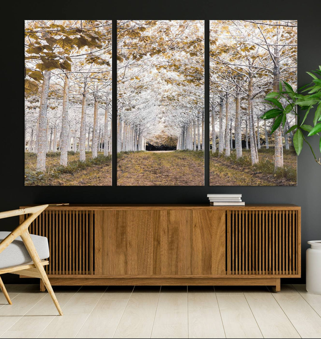 On a dark wall, the Forest Grove Wall Art showcases the Serene Pathway Canvas Print, highlighting autumn trees to create captivating nature-themed decor.