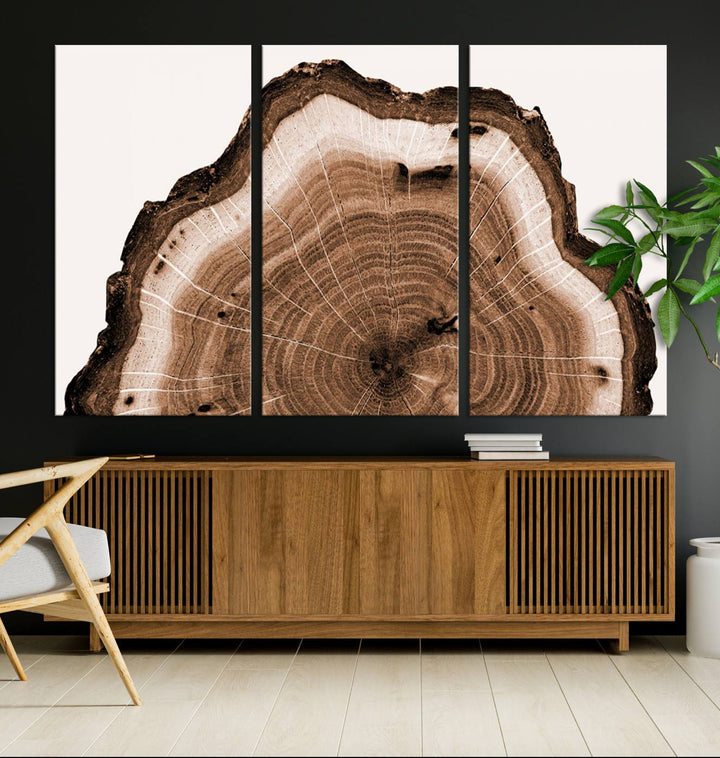 Rustic Wood Rings Wall Art | Nature-Inspired Tree Ring Canvas Print | Ready to Hang and Framed for Farmhouse Wall Decor