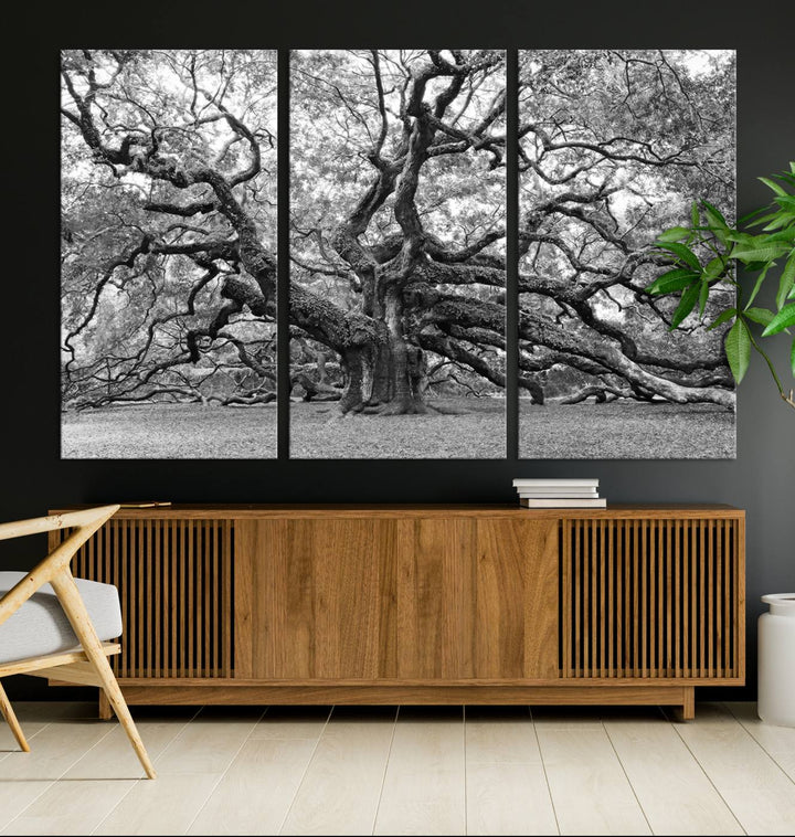 Black White Angel Oak Tree Wall Art - Timeless Nature-Inspired Canvas for Rustic, Modern, or Traditional Home Decor