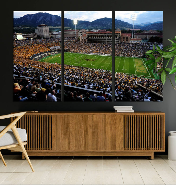 Colorado Buffaloes Football Team Print - Boulder Folsom Field Stadium Wall Art Canvas Print