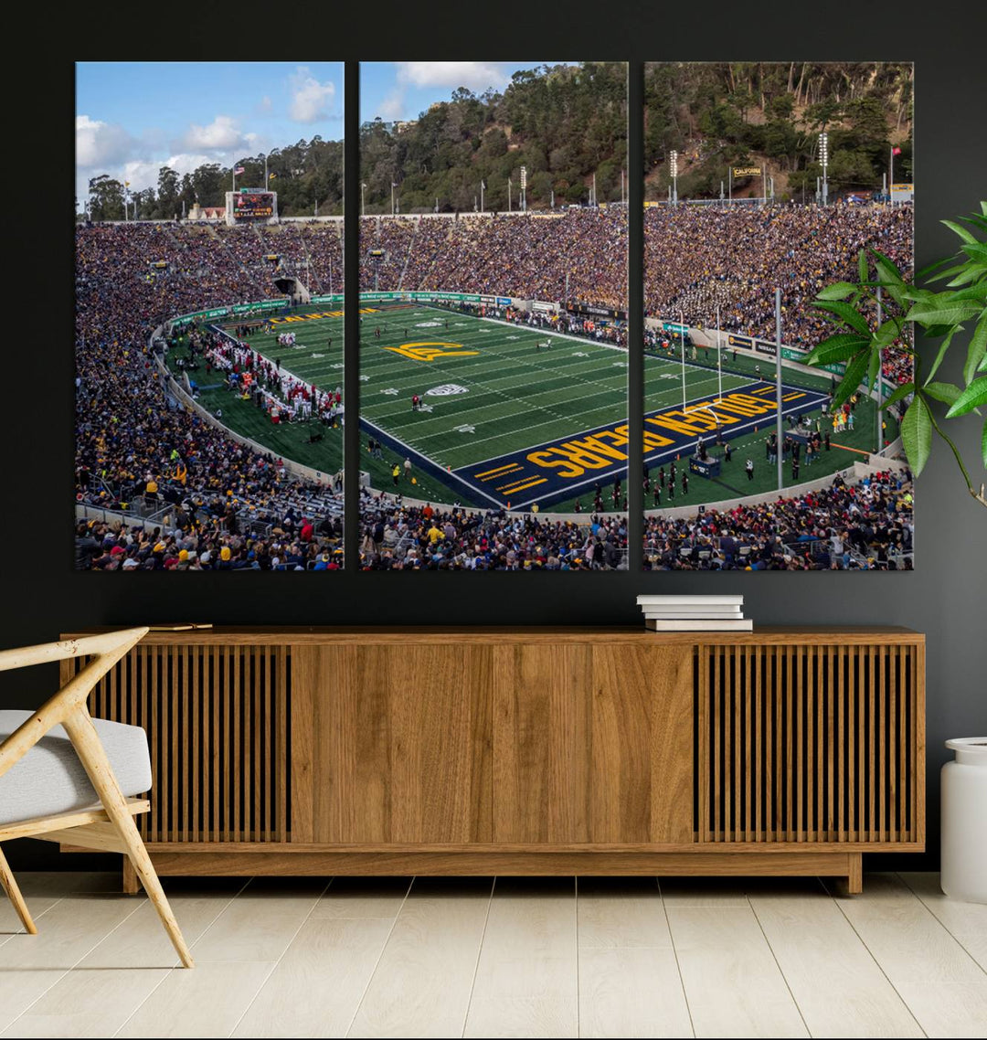 University of California Golden Bears Football Team Print - Berkeley California Memorial Stadium Wall Art Canvas Print