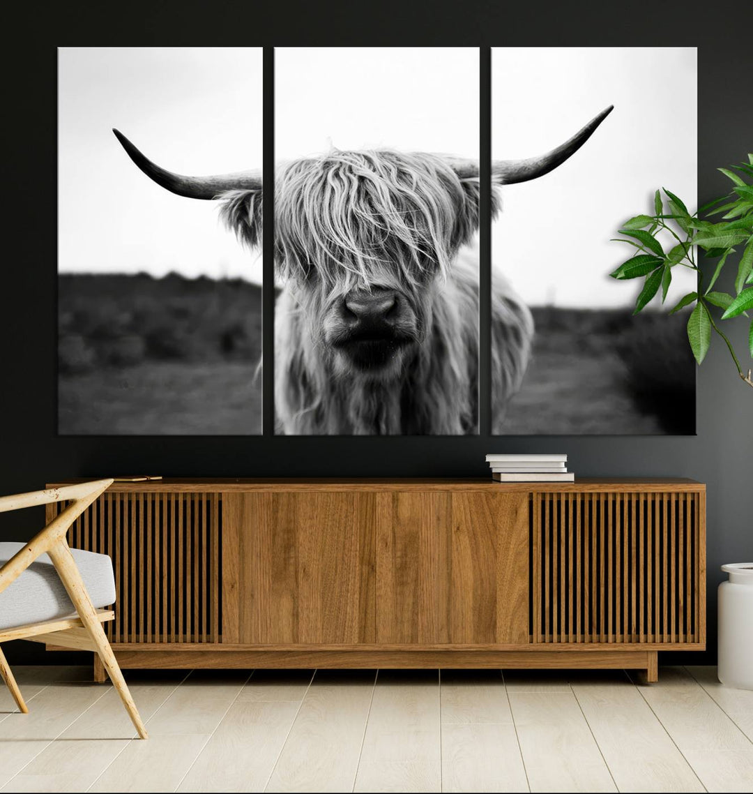 Highland Cow Wall Art: A black and white triptych canvas print, ideal for enhancing farmhouse or rustic barn decor.